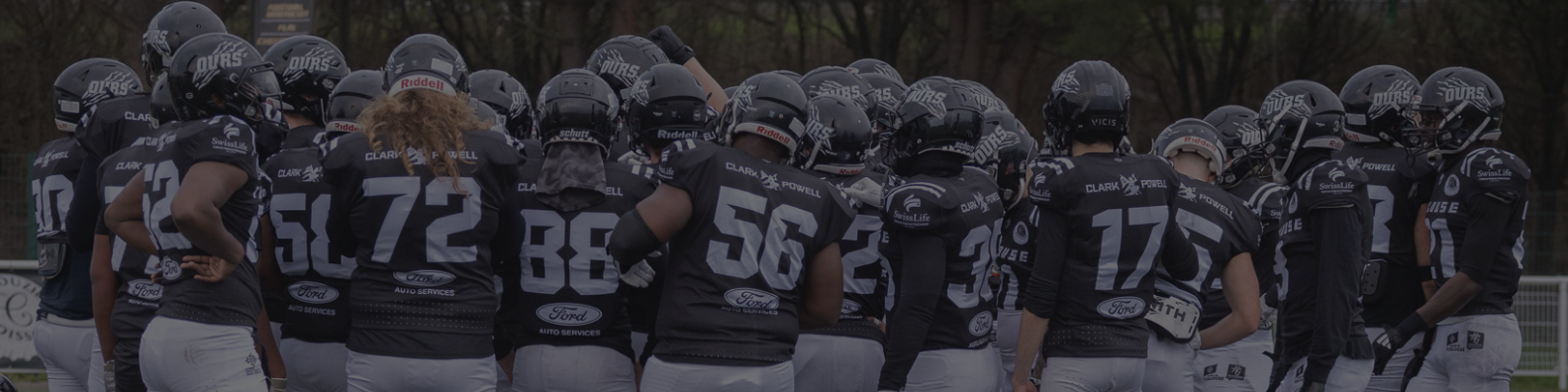 Ours de Toulouse Ours de toulouse